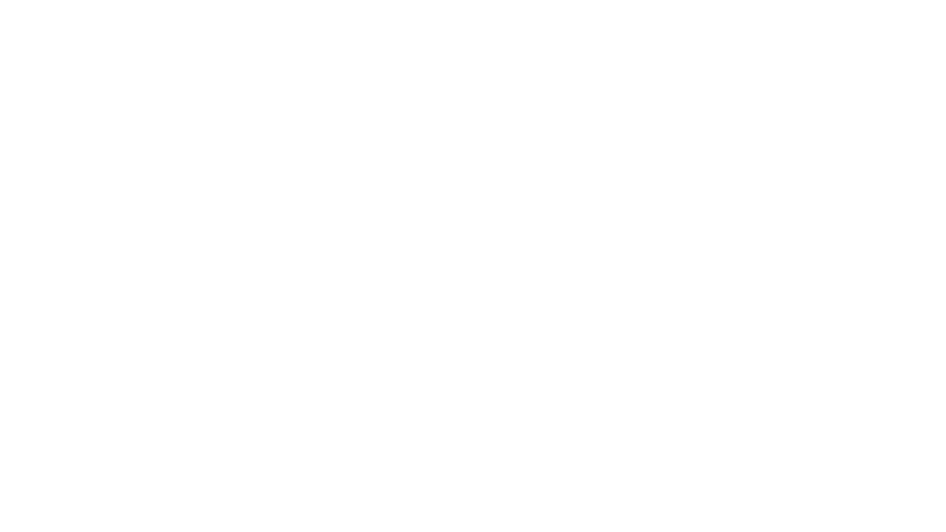 Barones logo