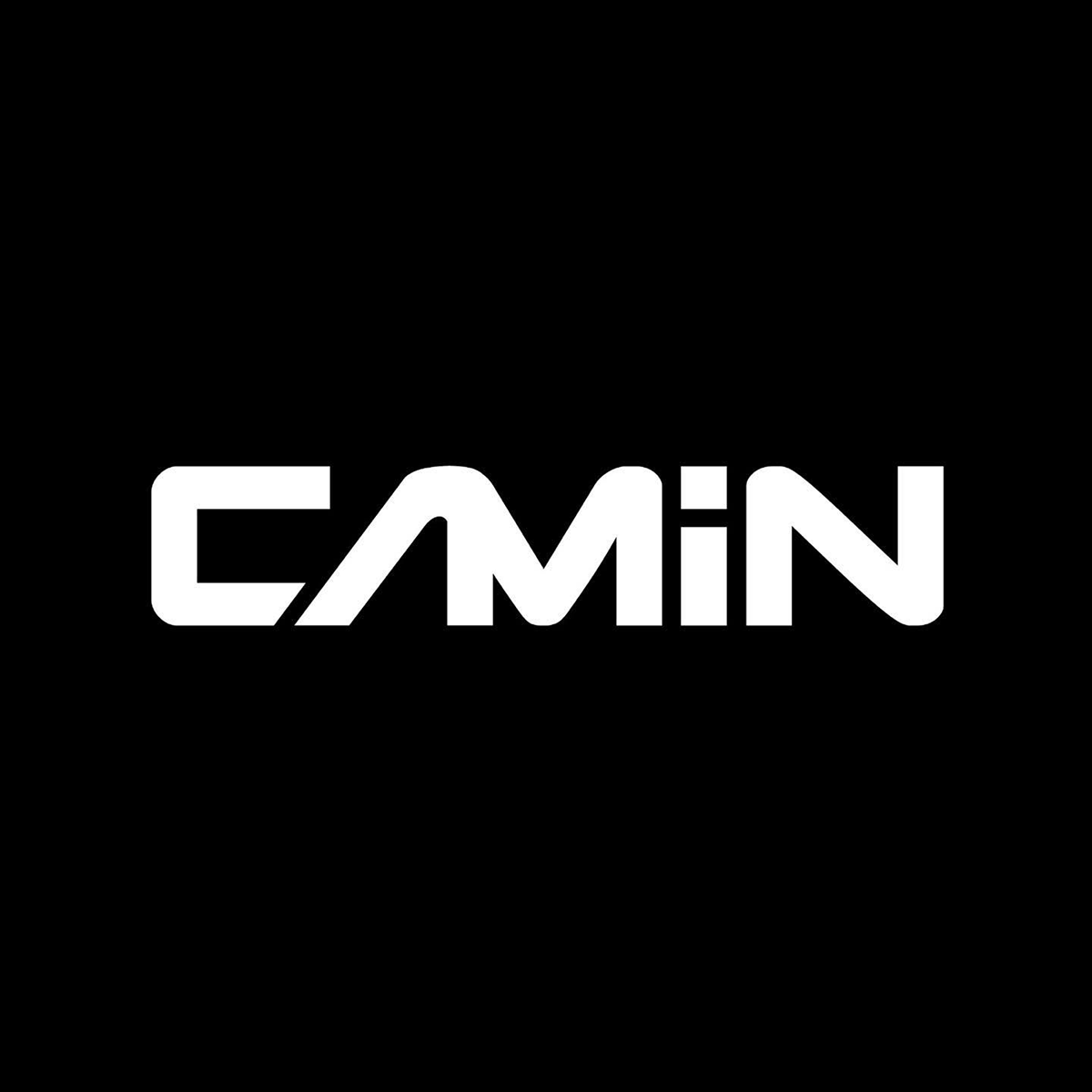 Camin Logo
